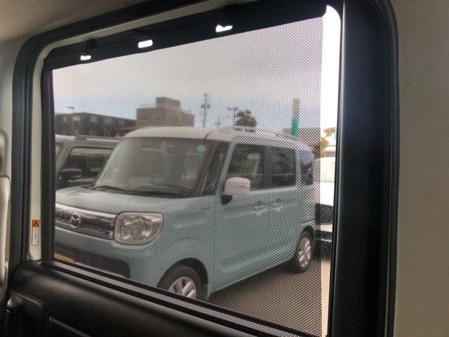 写真17