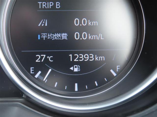 写真11