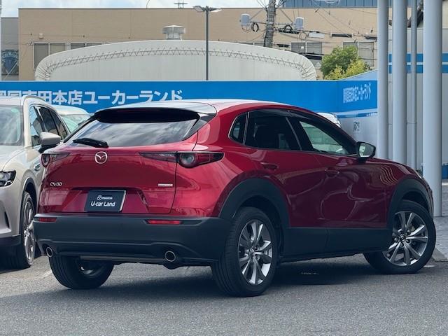 写真2