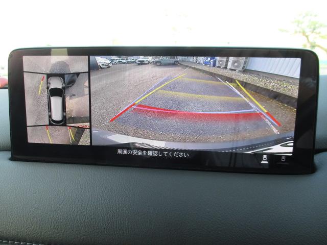 写真5