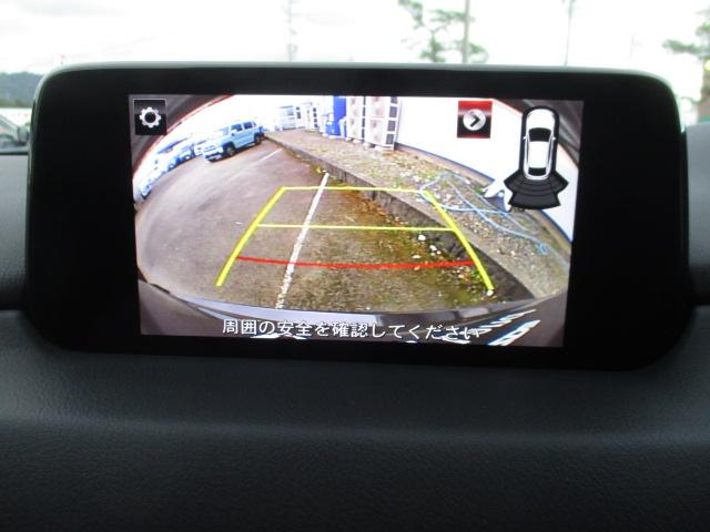 写真5