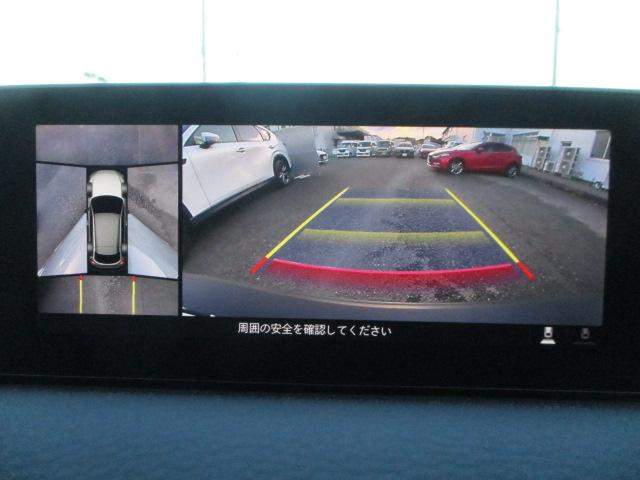 写真5