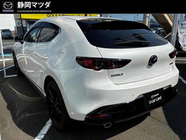 写真2