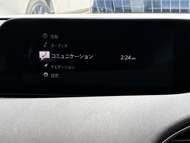 写真6