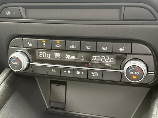 写真12
