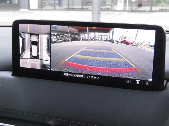 写真5