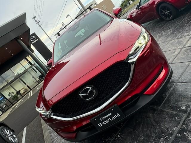写真3