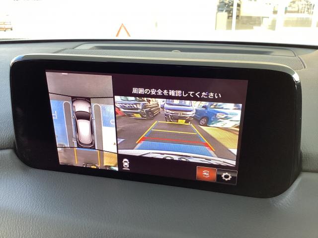 写真5