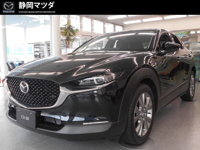 ＣＸー３０ ２０Ｓツーリング　６ＡＴ　衝突被害軽減ブレーキ　レーダークルーズコントロール　車線逸脱警報機能　ＡＴ誤発進抑制制御　ナビゲーション　３６０°ビューモニター　電動パワーシート　シートヒーター　１８インチアルミホイール