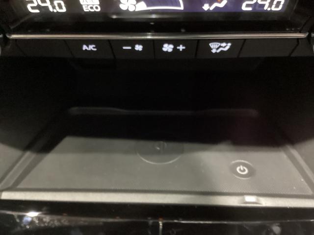写真11