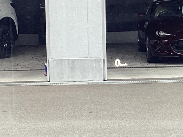 写真14