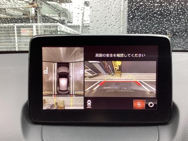 写真5