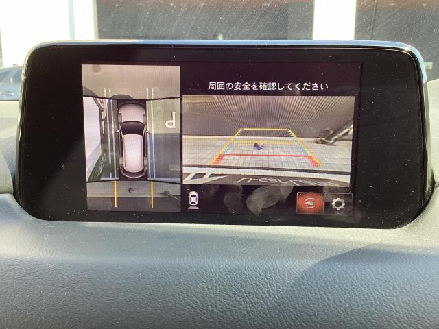 写真6