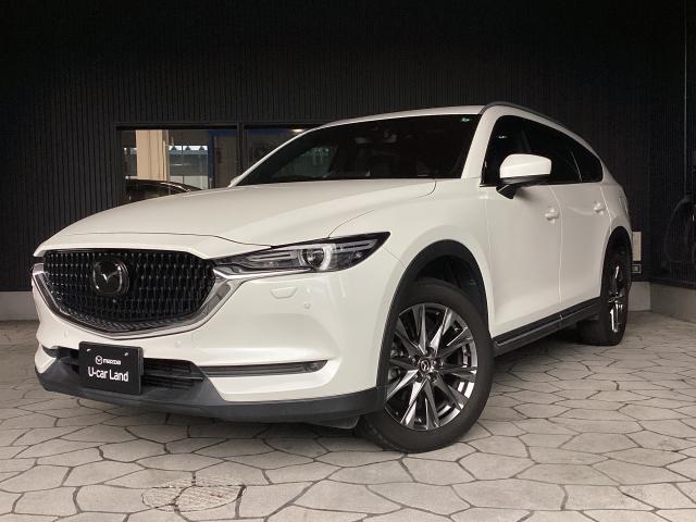 ＣＸ－８ ＸＤ Ｌ Ｐａｃｋａｇｅ　ナビ　３６０°モニター　ＥＴＣ　前後ドラレコ　雹被害あり