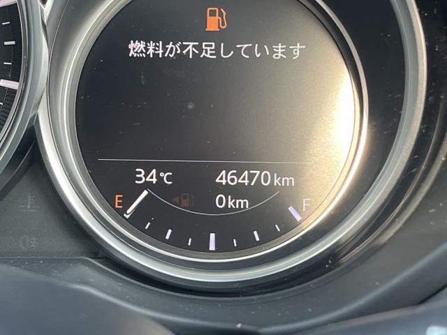 写真4