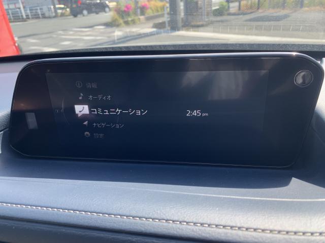 写真10