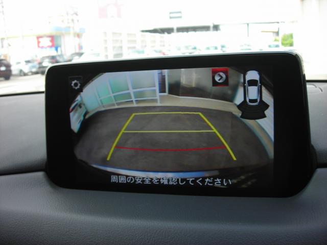 写真7