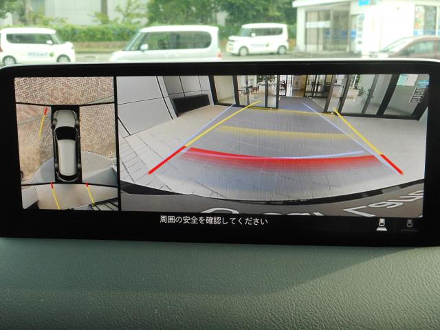 写真5