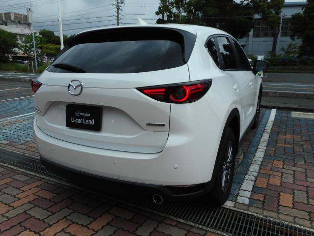 写真2