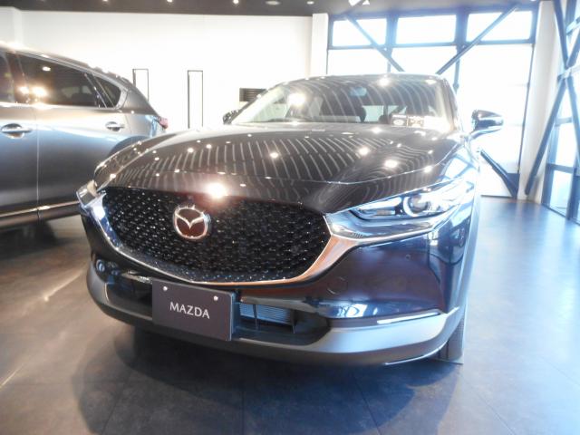ＣＸ３０ ２０Ｓ　ｉセレクション　衝突軽減ブレーキ　マツダコネクトナビＳＤ　３６０度ビューモニター　純正アルミ　マツダレーダークルーズコントロール