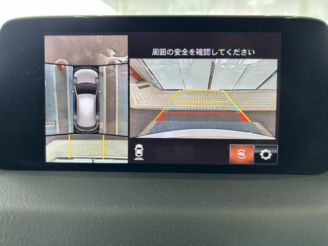 写真5