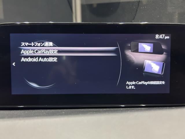 写真6