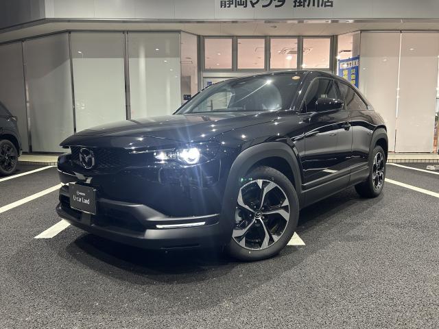 ＭＸ－３０ ナチュラルモノトーン