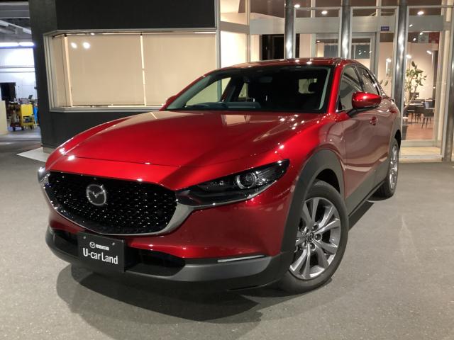 ＣＸ－３０ ＸＤ プロアクティブツーリングセレクション