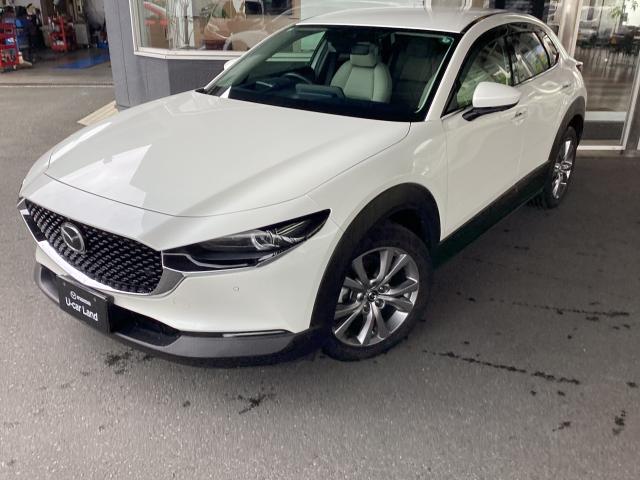 ＣＸ－３０ ＸＤ プロアクティブツーリ　衝突軽減ブレーキ、誤発進抑制システム、３６０°ビューモニター、ナビ、レーダークルーズコントロール、パーキングセンサー