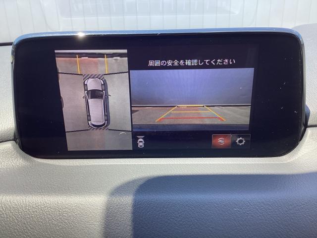 写真9