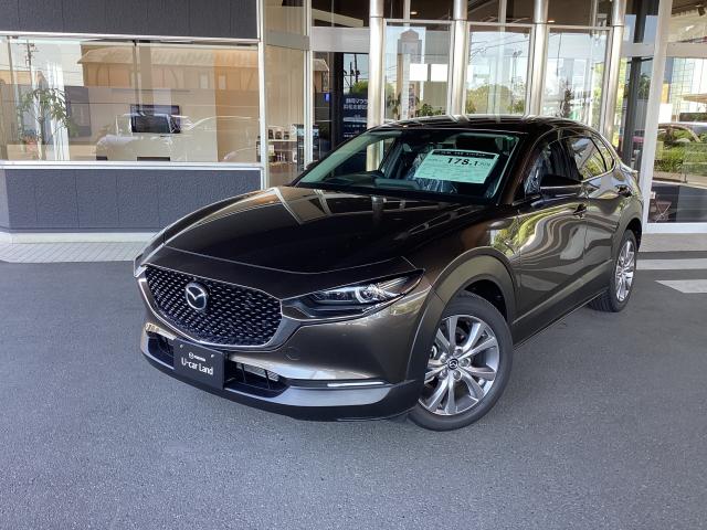 ＣＸ－３０ ２０Ｓ Ｌ－Ｐｋｇ