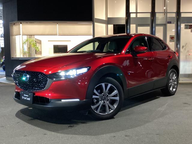 ＣＸ－３０ ２０Ｓ Ｌ－Ｐｋｇ