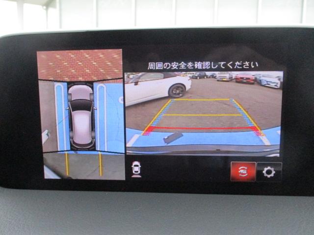 写真11