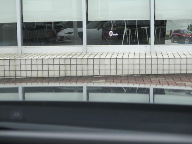 写真12