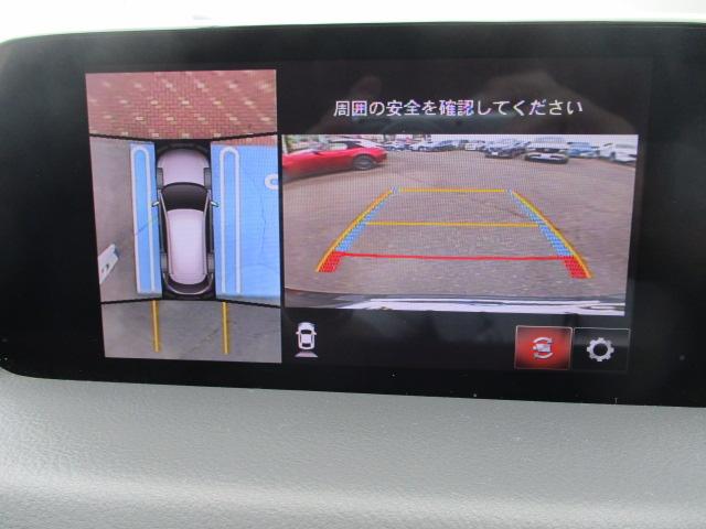 写真5