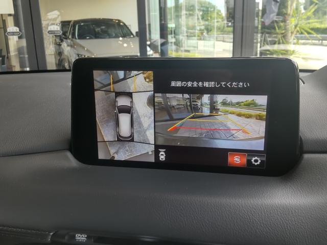 写真12