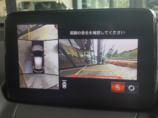 写真12