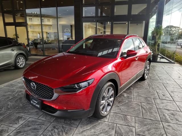 ＣＸ－３０ ＸＤ ＰＲＯＡＣＴＩＶＥ Ｔｏｕｒｉｎｇ Ｓｅｌｅｃｔｉｏｎ　／パワーゲート／３６０°ビューモニター／シートヒーター／ハンドルヒーター／ＥＴＣ／運転席パワーシート
