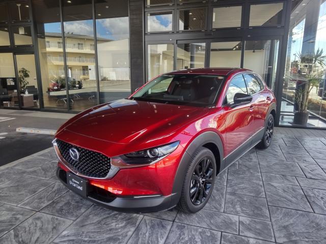 ＣＸー３０ ＸＤブラックセレクション／ナビゲーション／３６０°ビューモニター／運転席パワーゲート