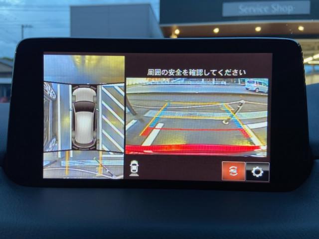 写真9