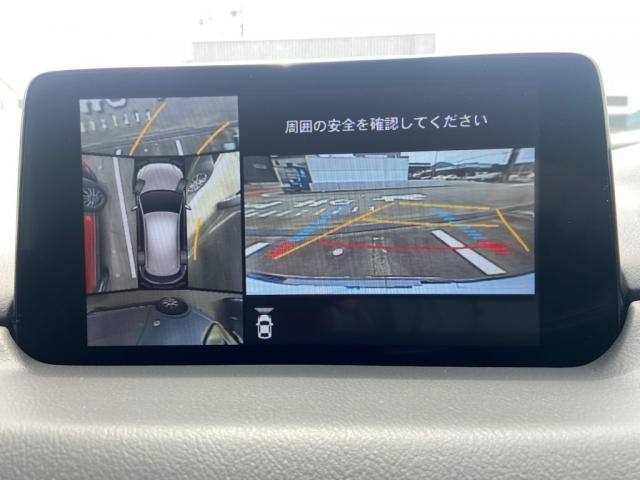 写真12
