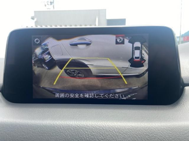 写真12