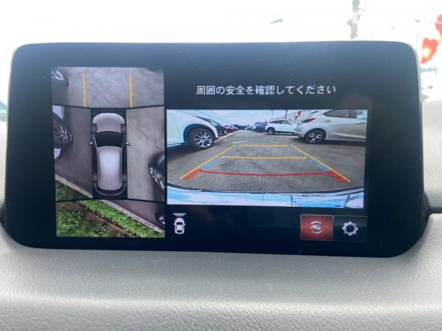 写真12