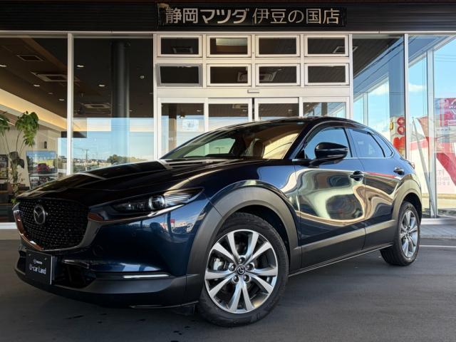ＣＸ－３０ ＸＤ プロアクティブ ツーリングセレクション　ナビＳＤ　ＥＴＣ　ドラレコ前後　全方位モニター　シートヒーター　ハンドルヒーター　パワーシート　パワーリフトゲート　衝突軽減ブレーキ　レーダークルーズコントロール　